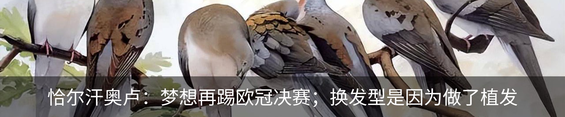 资讯动态