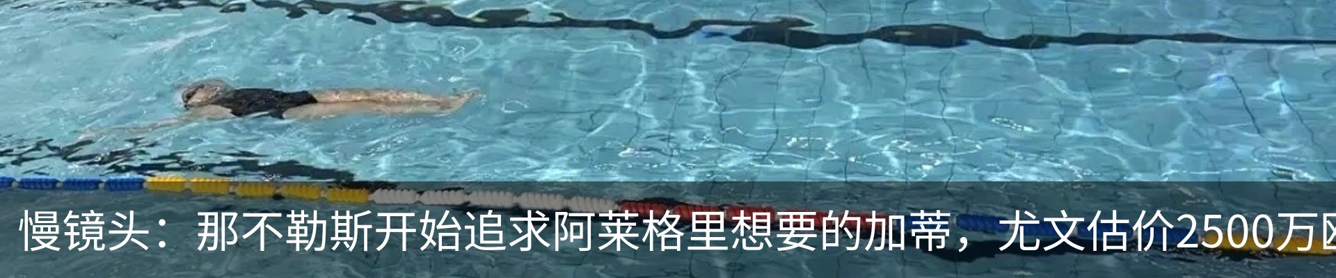 资讯动态