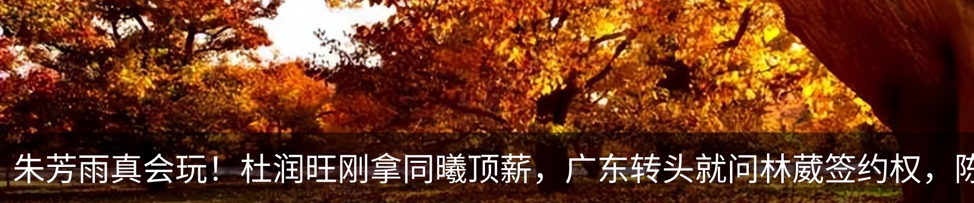 资讯动态
