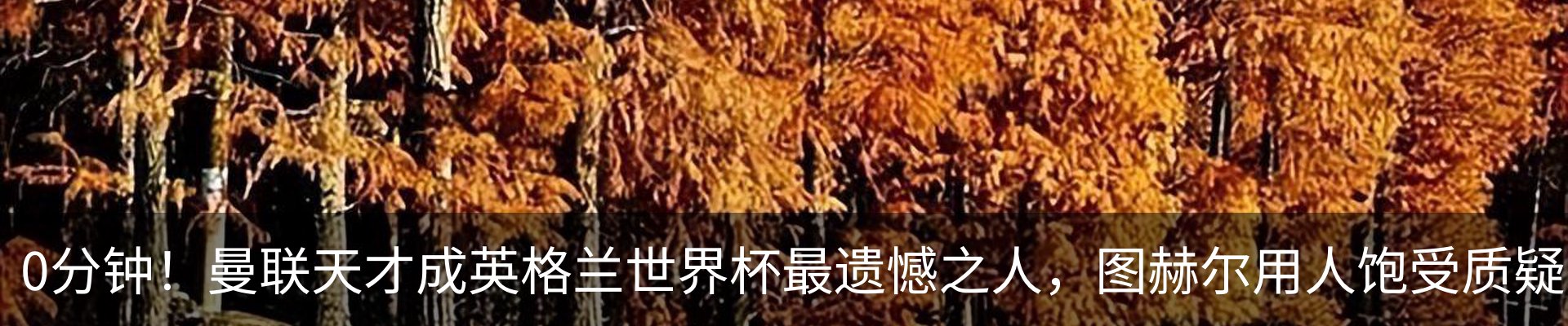 资讯动态