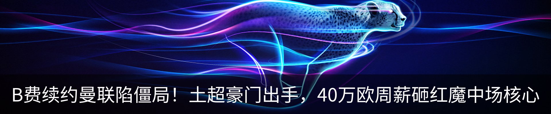 资讯动态